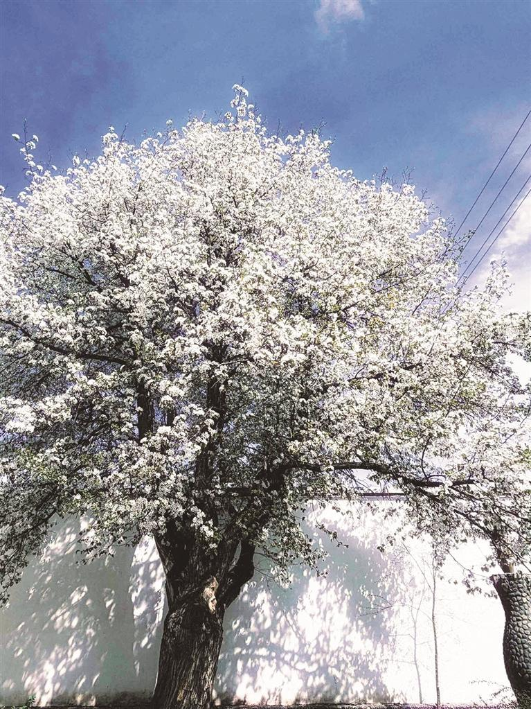 微信图片_20260412065833_720_174