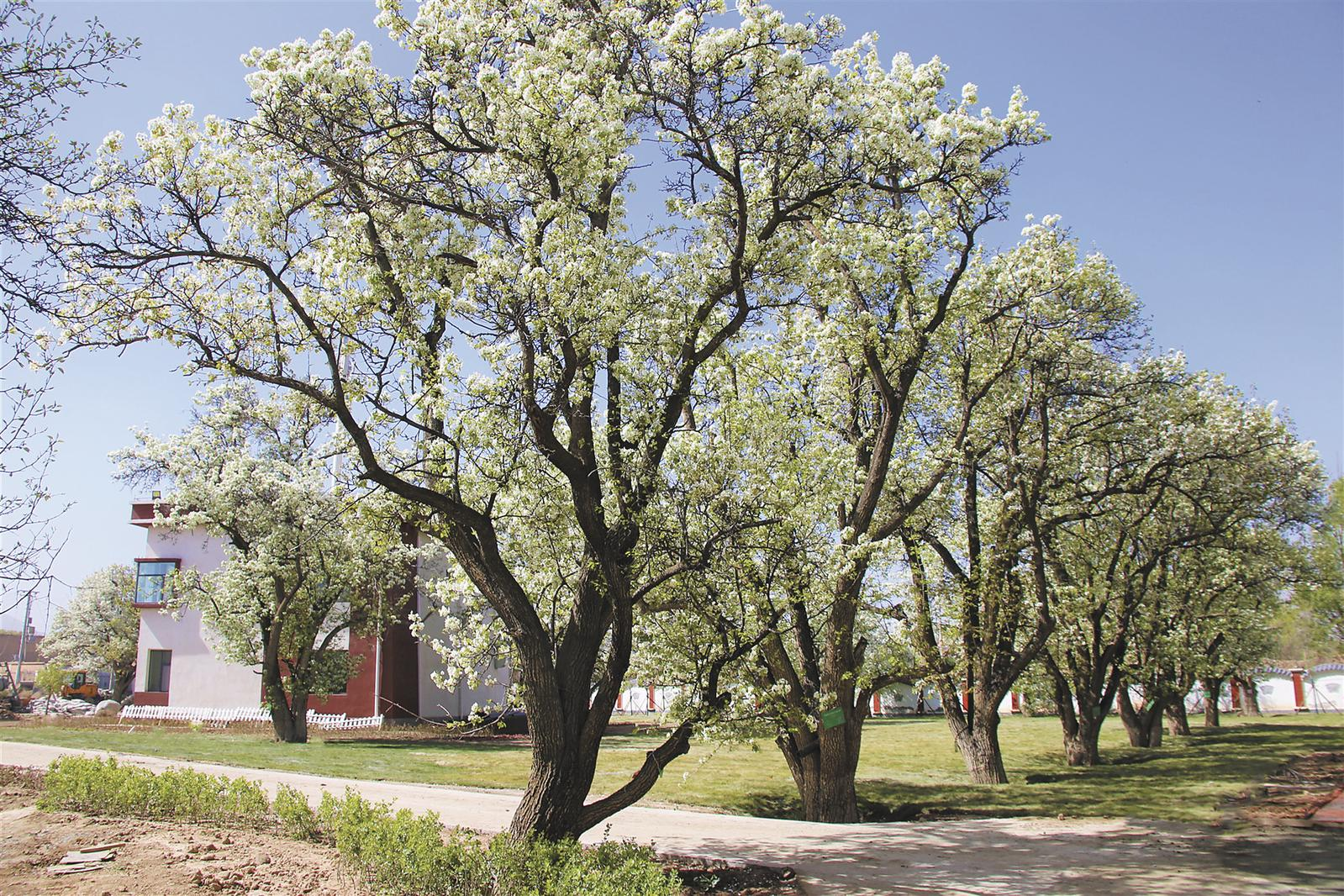 微信图片_20260412064327_712_174