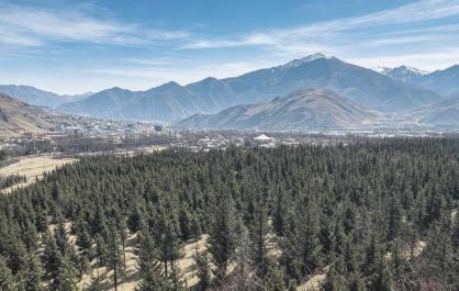 蝶变十六载 兴绿向未来——玉树厚植生态底色 江源奔赴发展新程