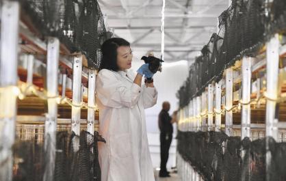 青春返乡创业忙