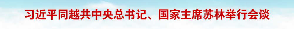 习近平同越共中央总书记、国家主席苏林举行会谈