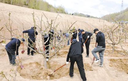 三十余载接力植绿 智慧守护生态底色