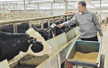 【青春无畏 创业有路】做好一件事 带动一方人——记2026...