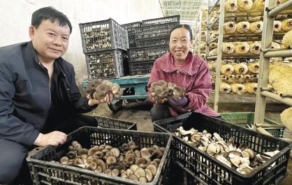 在大棚里“种春天”的人