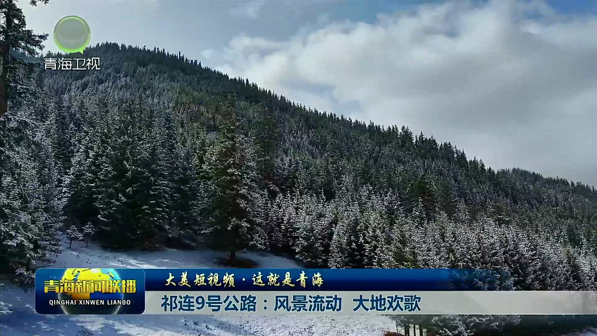 【大美短视频·这就是青海】祁连9号公路：风景流动 大地欢歌