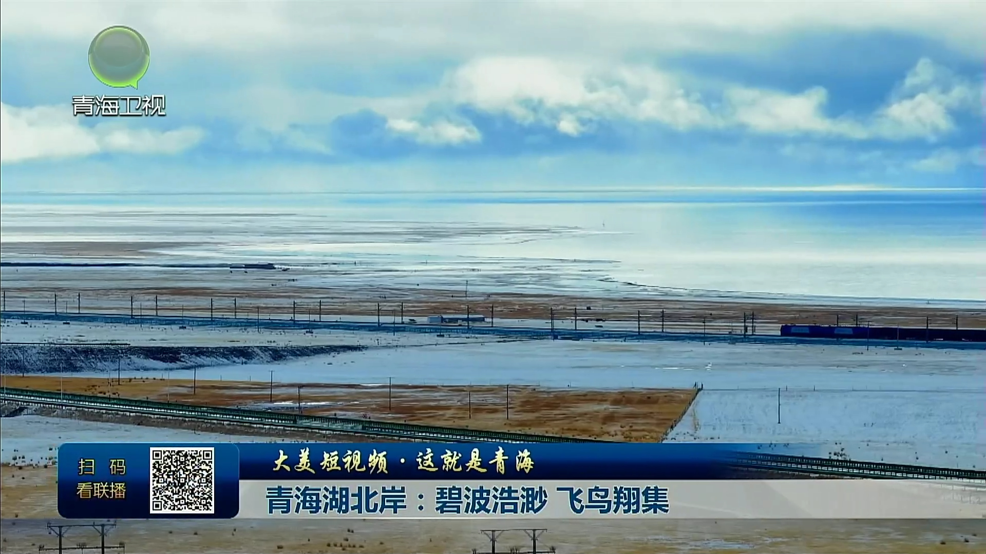 【大美短视频·这就是青海】青海湖北岸：碧波浩渺 飞鸟翔集