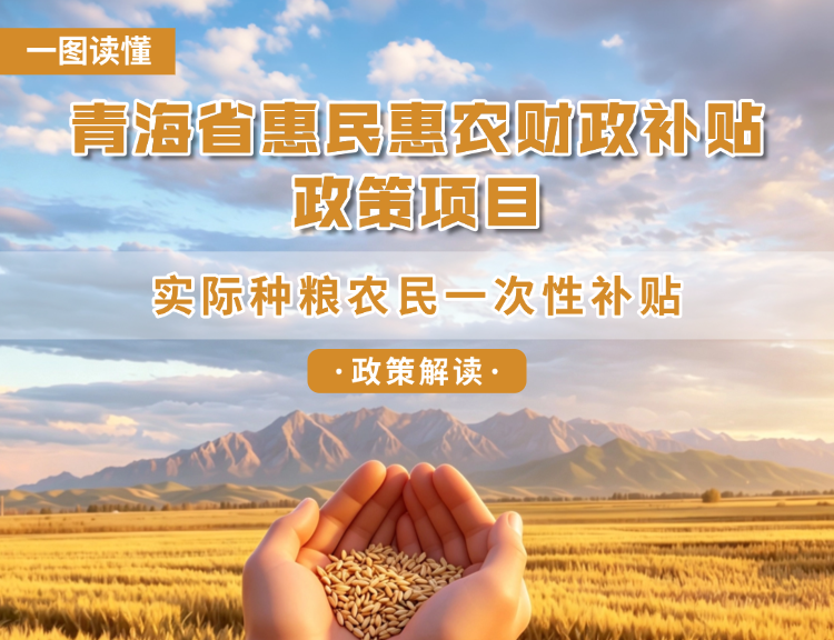 青海省惠民惠农财政补贴政策项目之【实际种粮农民一次性补贴】