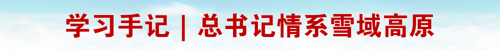 学习手记｜总书记情系雪域高原