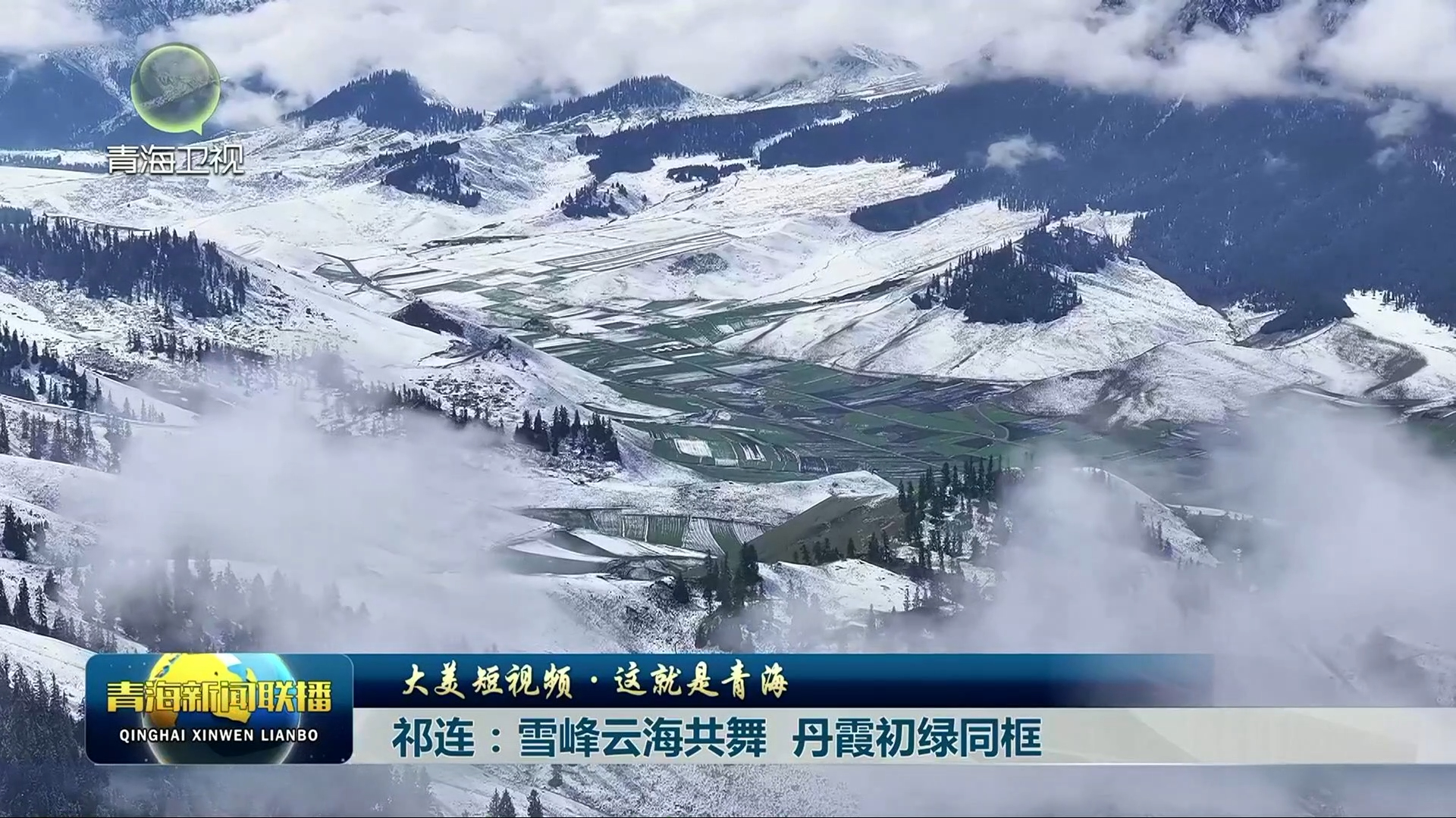 【大美短视频·这就是青海】祁连：雪峰云海共舞 丹霞初绿同框