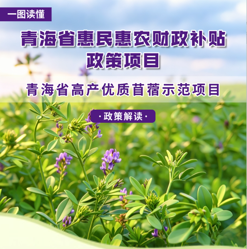 青海省惠民惠农财政补贴政策项目之【青海省高产优质苜蓿示范项目】