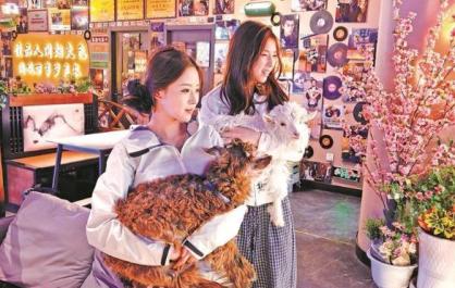 【青海·我们的幸福拼图】他用一锅烟火拼出幸福人生