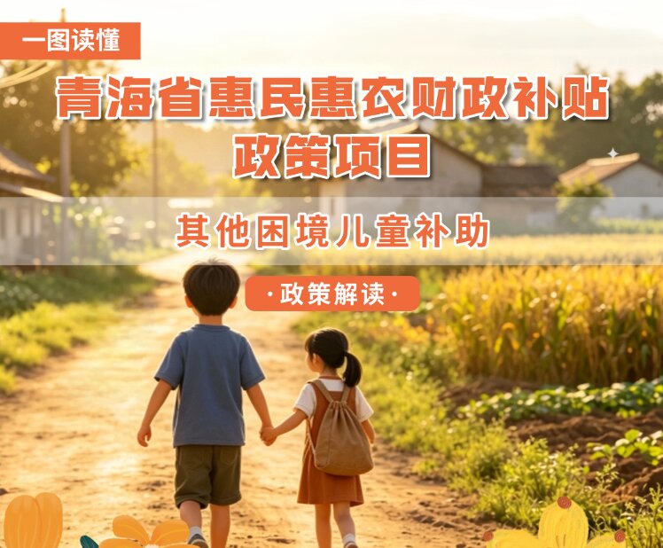 青海省惠民惠农财政补贴政策项目之【其他困境儿童补助】