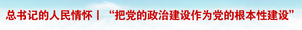 “把党的政治建设作为党的根本性建设”（总书记的人民情怀）