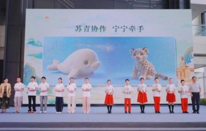 2026苏青协作·宁宁牵手青少年研学交流活动正式开营