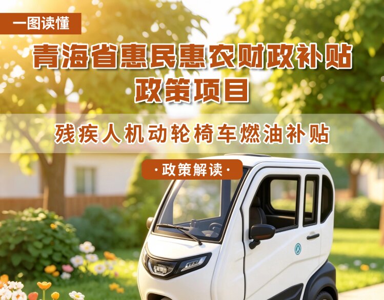 青海省惠民惠农财政补贴政策项目之【残疾人机动轮椅车燃油补贴】