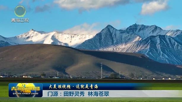 【大美短视频·这就是青海】门源：田野灵秀 林海苍翠
