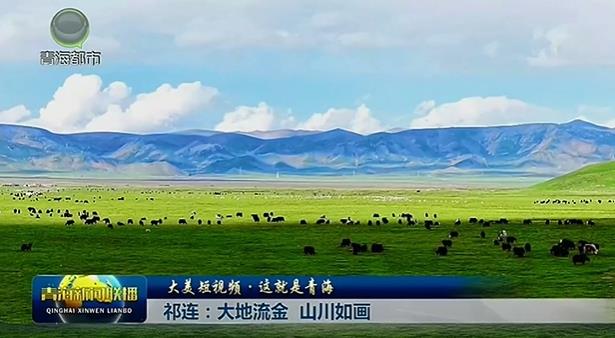 【大美短视频·这就是青海】祁连：大地流金 山川如画
