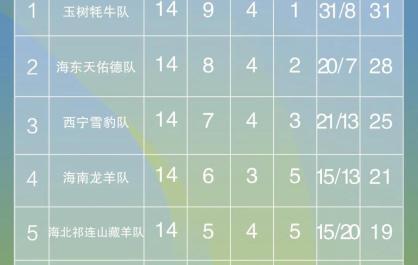 【大美青海·高原足球】战报、积分榜、射手榜