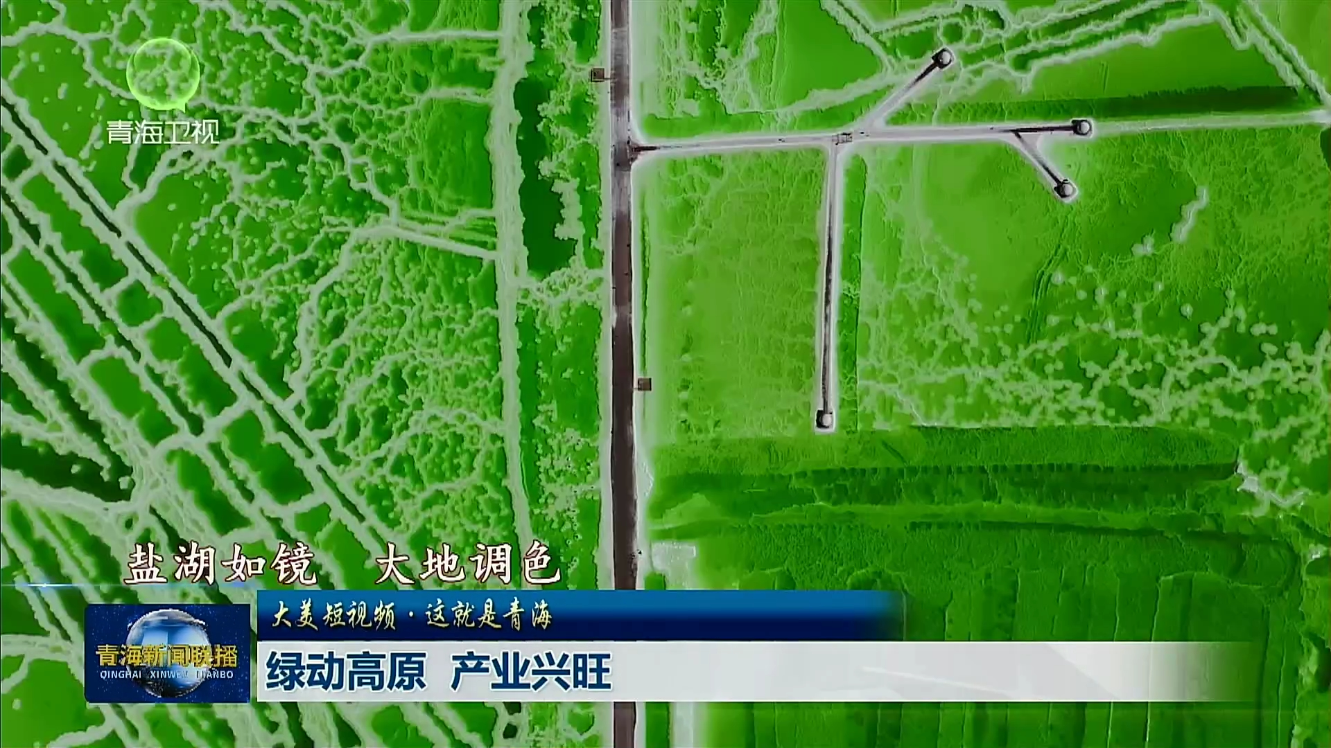【大美短视频·这就是青海】同心共筑民族团结