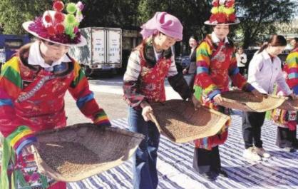 土乡晒丰收