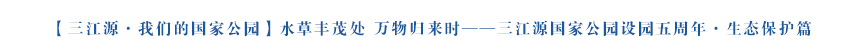 【三江源·我们的国家公园】水草丰茂处 万物归来时——三江源国家公园设园五周年·生态保护篇（上）