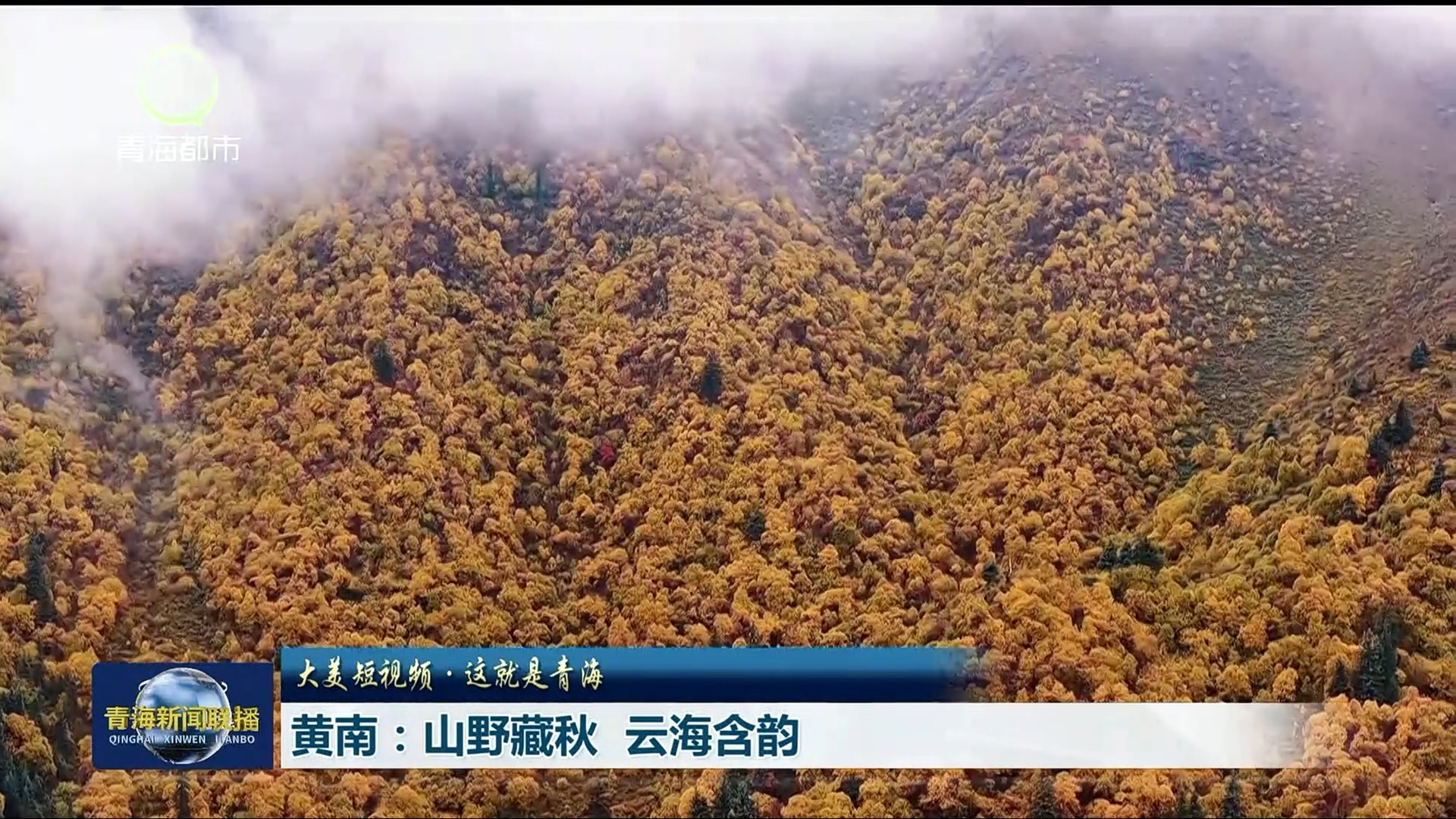 【大美短视频·这就是青海】黄南：山野藏秋 云海含韵