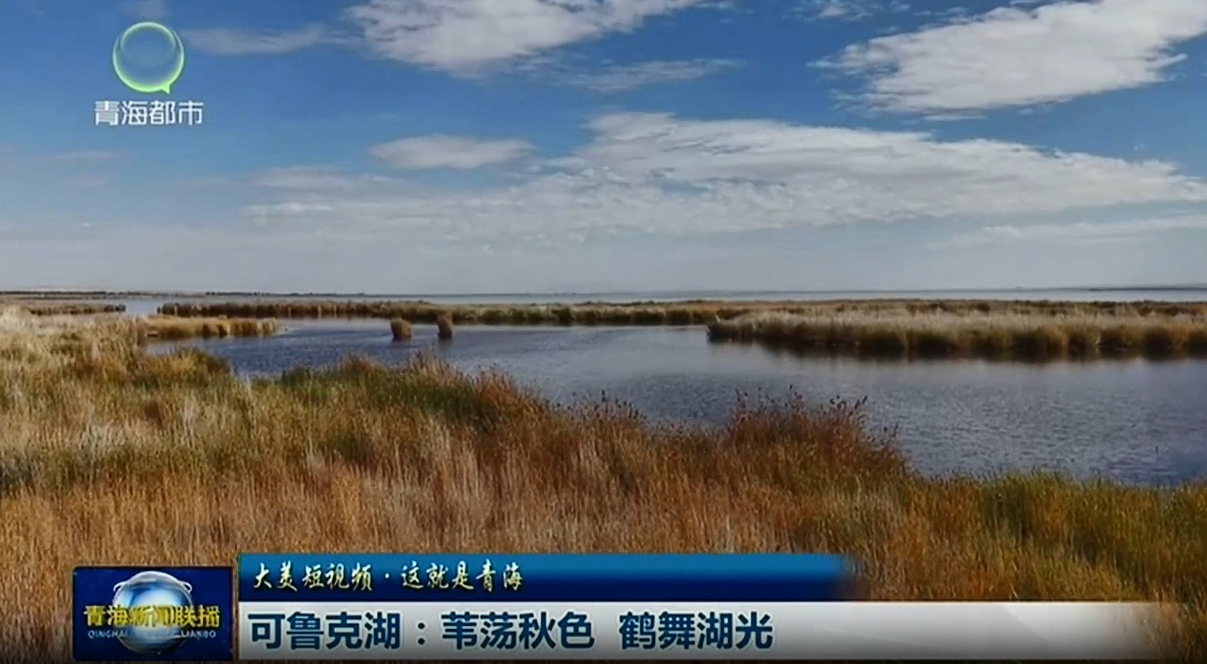 【大美短视频·这就是青海】可鲁克湖：苇荡秋色 鹤舞湖光